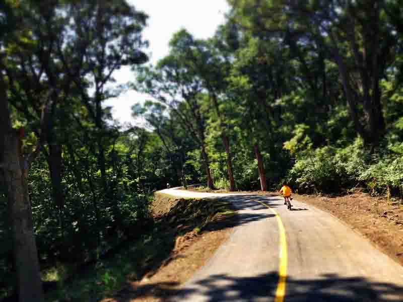 New Veterans Hwy Trail - Bluff Rd