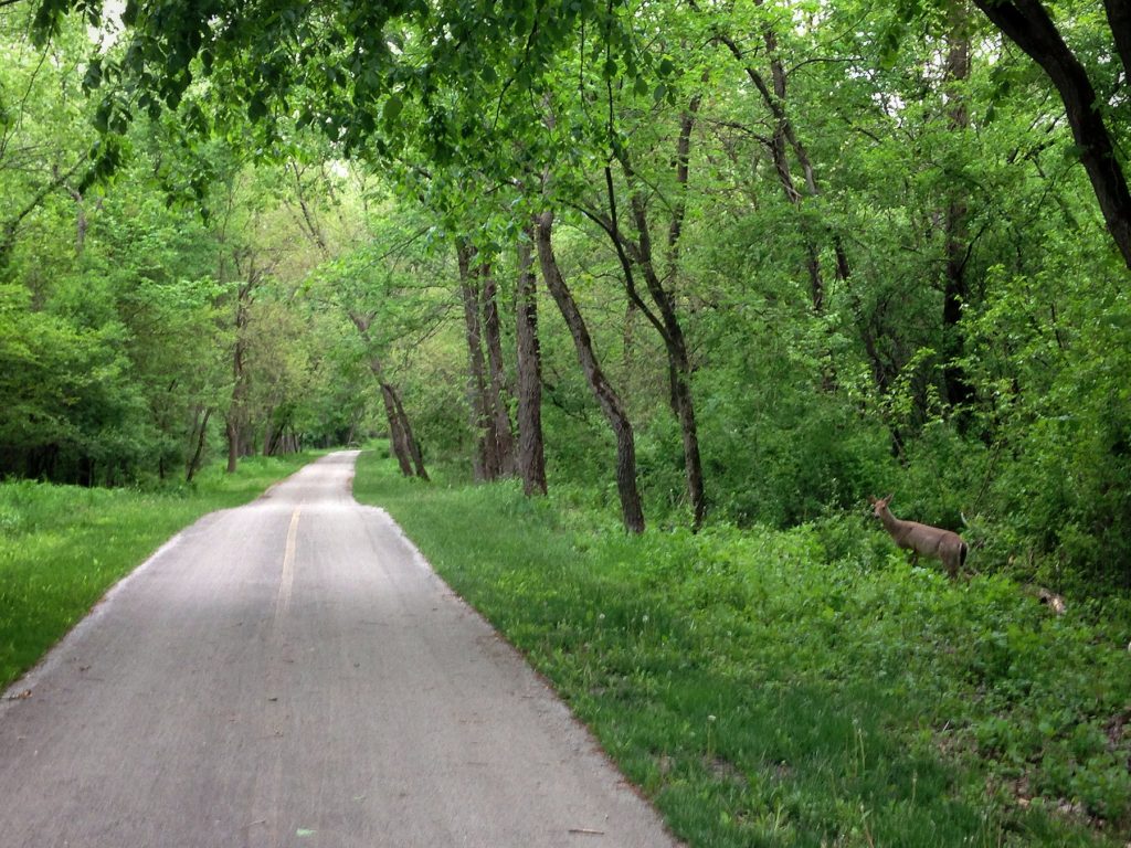 Centennial Bike Path Veteran's Memorial Bike Path Deer on the Path